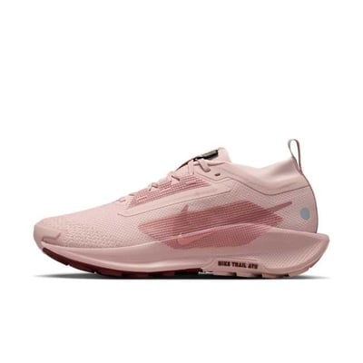 Nike Pegasus Trail 5 GORE-TEX FQ0912-601