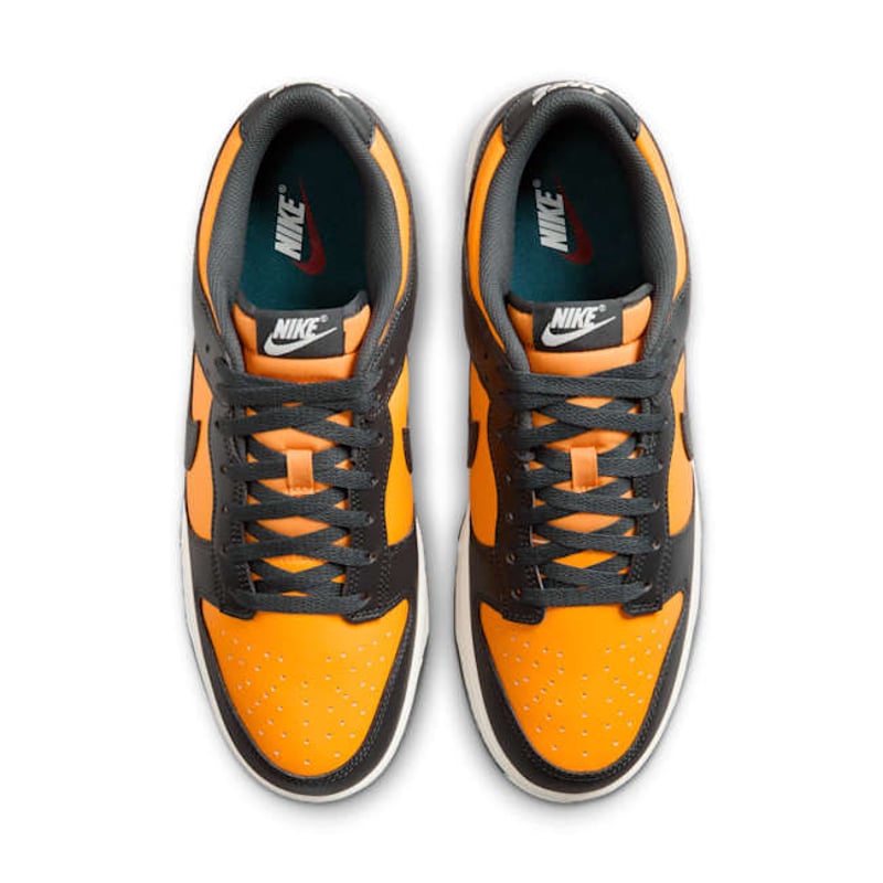 Nike Dunk Low HF5441-700 04