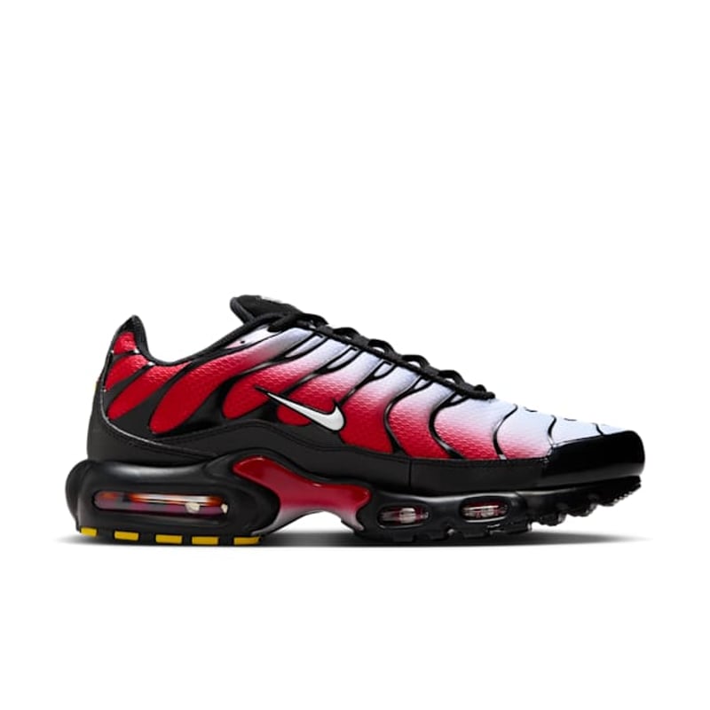 Nike Air Max Plus DM0032-017 03
