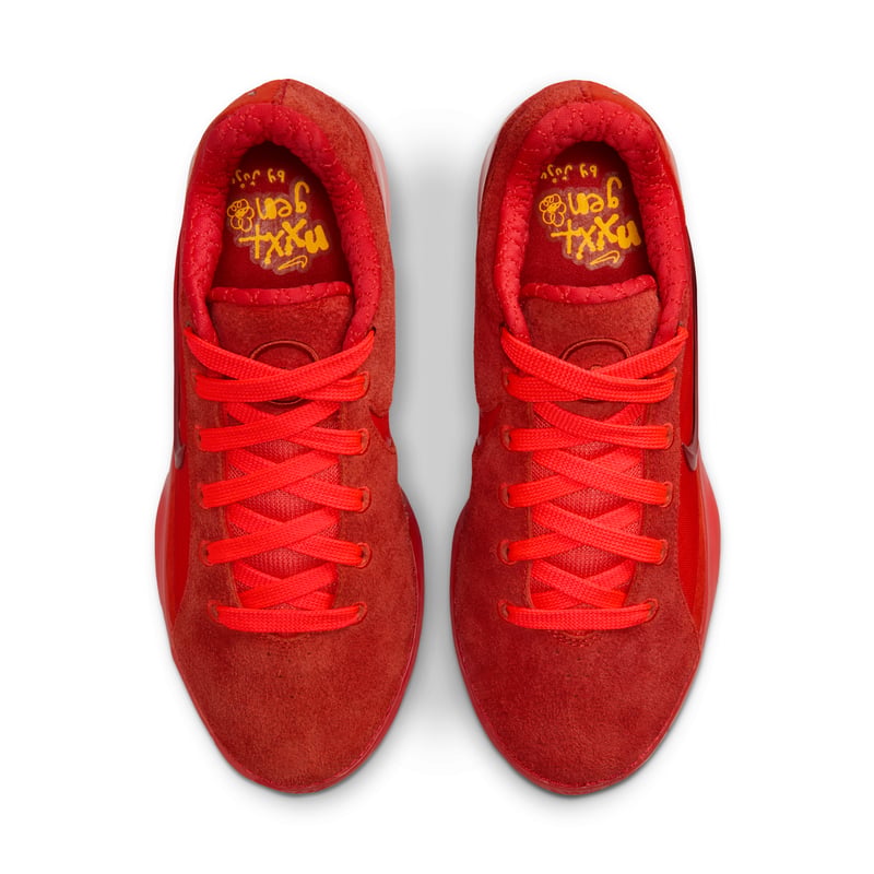 Nike LeBron NXXT Gen By JuJu IQ8495-600 04