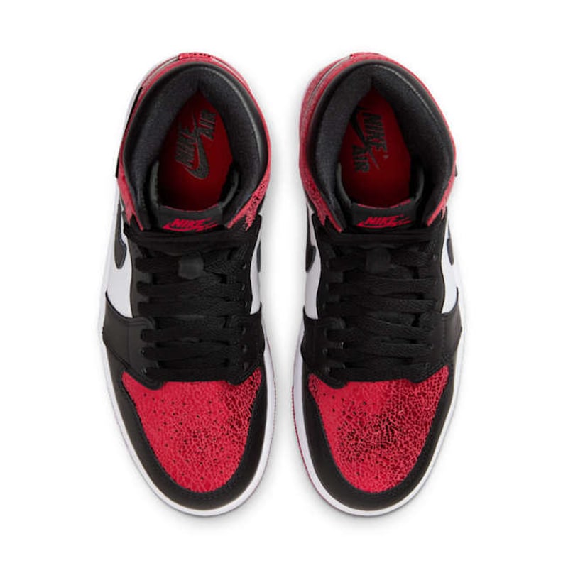 Jordan 1 Retro High OG FD2596-602 04