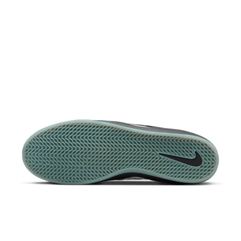 Nike SB Ishod Premium DZ5648-100 02