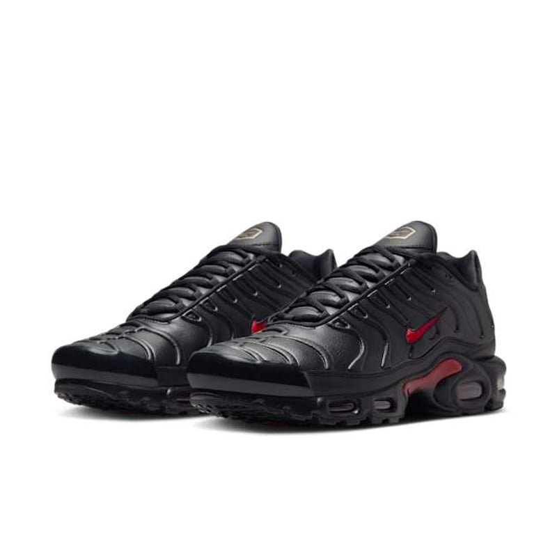 Nike Air Max Plus Premium FZ3038-001 05