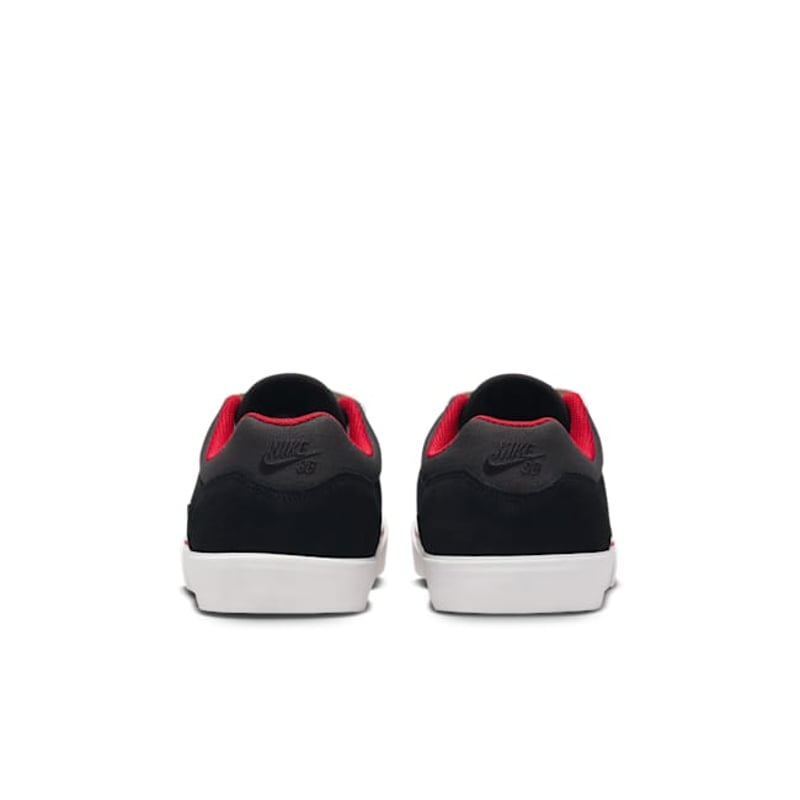 Nike SB Malor FV6064-003 06