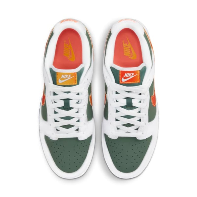 Nike Dunk Low DN2489-300 04