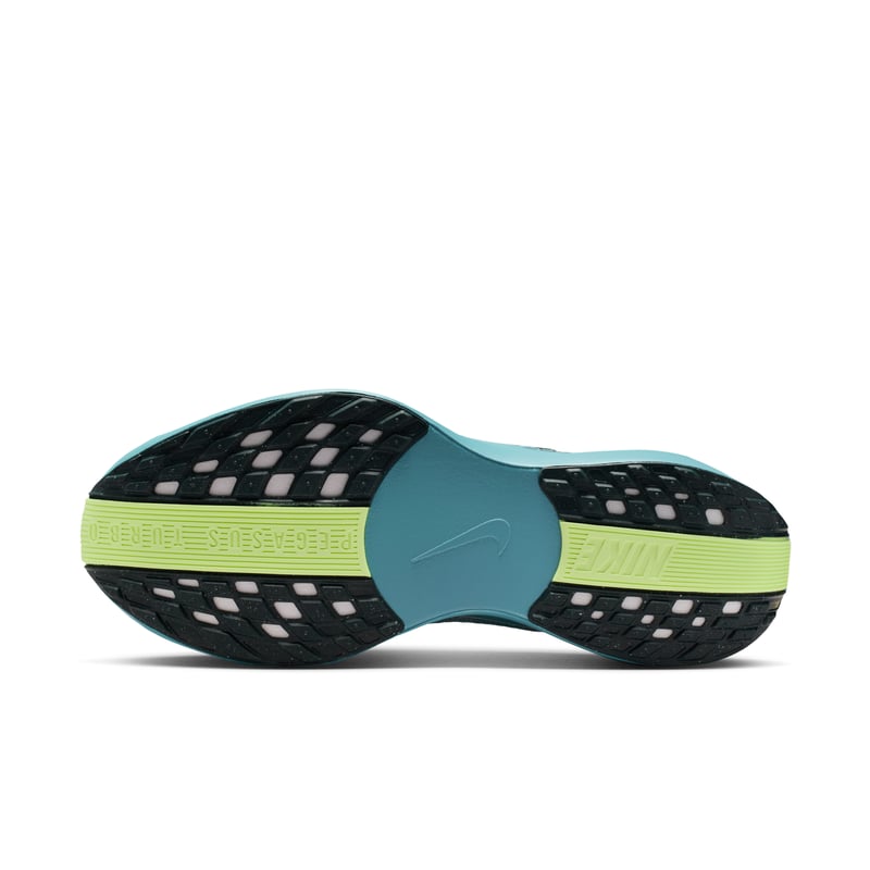 Nike Pegasus Plus FQ7262-012 02