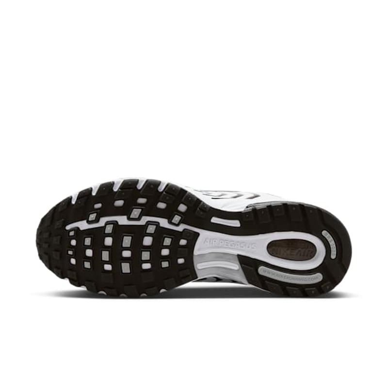 Nike Air Pegasus 2K5 FJ1909-100 02
