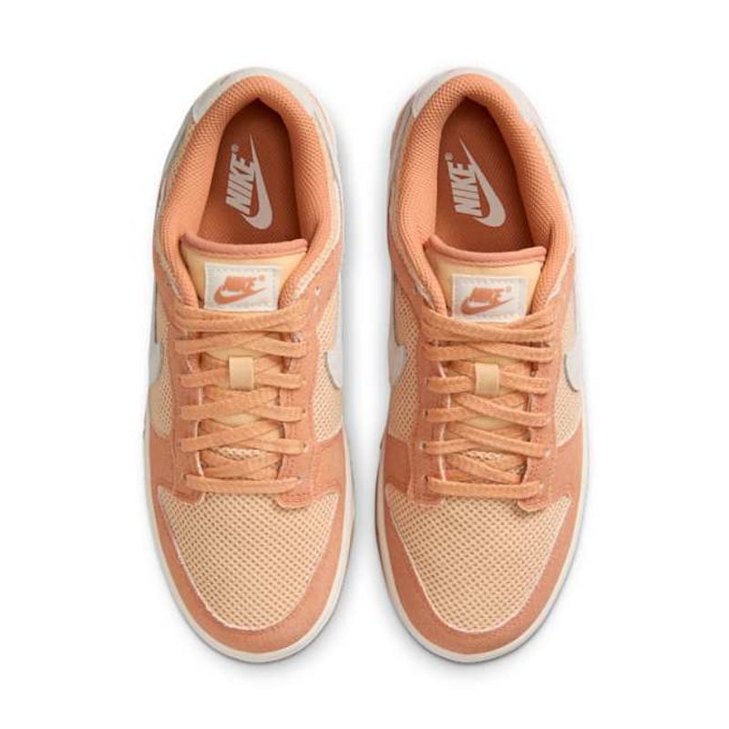 Nike Dunk Low HJ5864-200 04