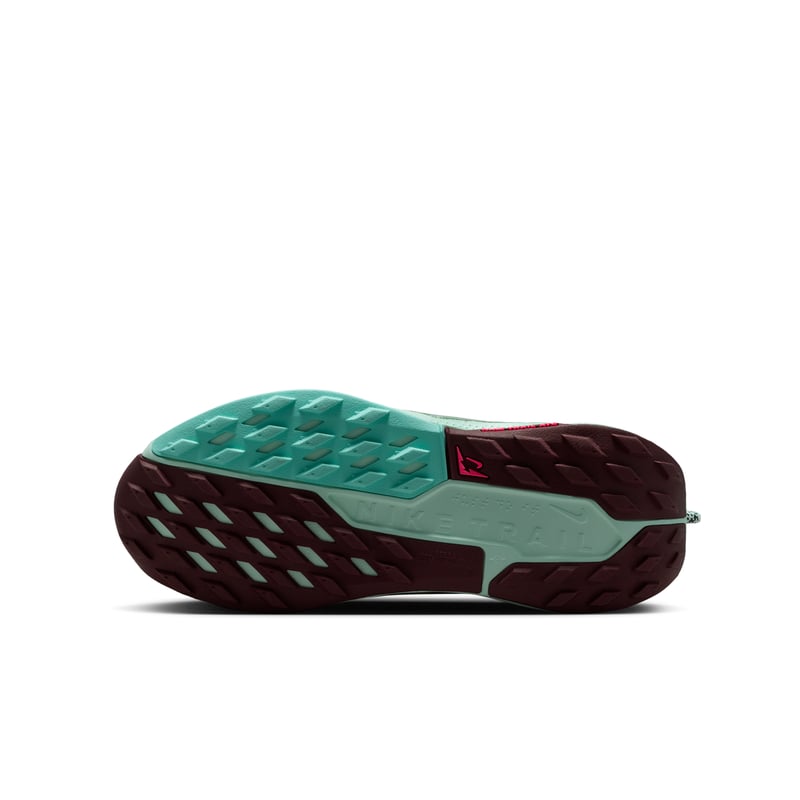 Nike Pegasus Trail 5 FV5638-301 02