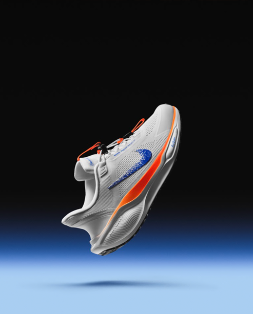 Nike Pegasus EasyOn HM0375-900