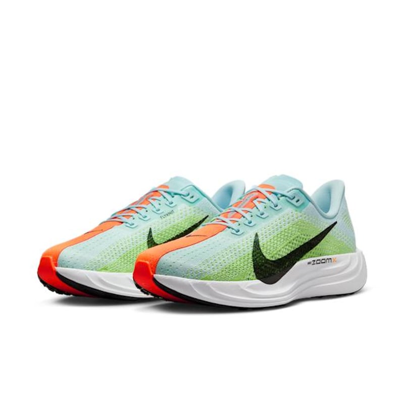 Nike Pegasus Plus FQ7262-400 05