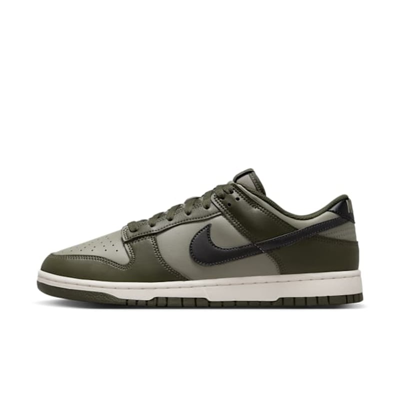 Nike Dunk Low HF5441-300 01