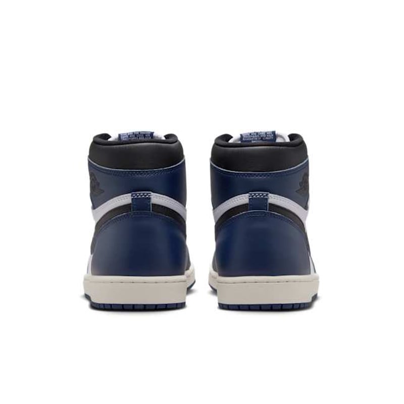 Jordan 1 Retro High OG DZ5485-401 06
