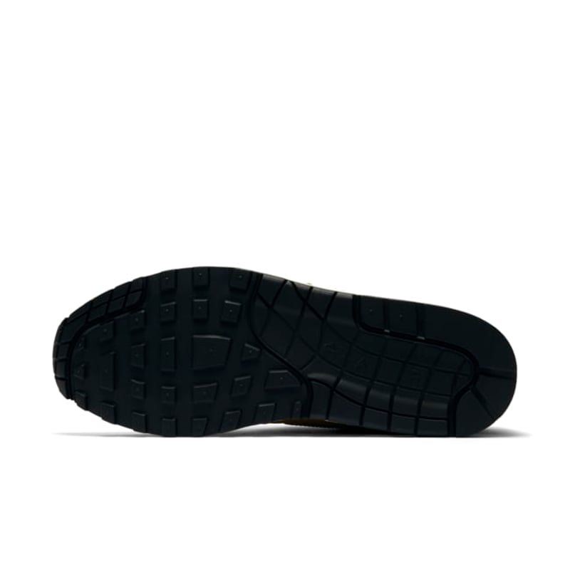 Nike Air Max 1 Premium Retro 908366-300 02
