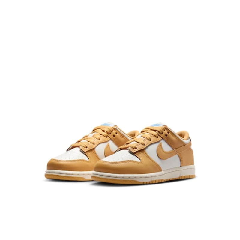 Nike Dunk Low FB9108-700 05