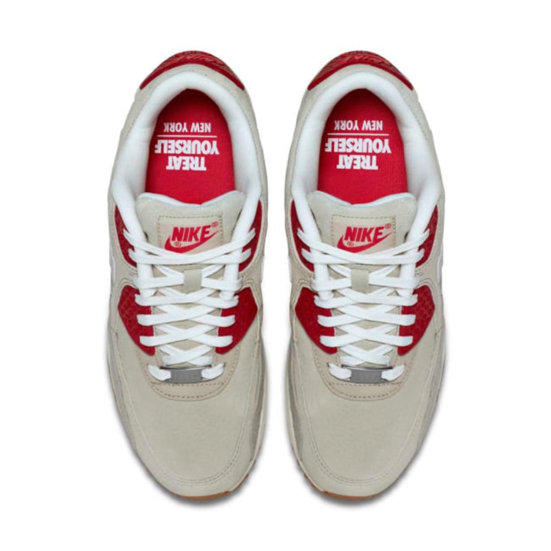 Nike Air Max 90 813150-200 04