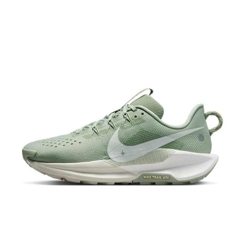 Nike Pegasus Trail 5 DV3865-301 01