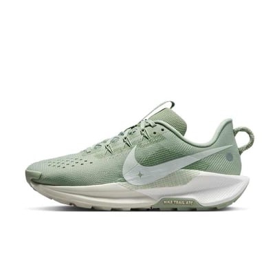Nike Pegasus Trail 5 DV3865-301