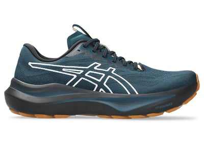 ASICS GT-2000 14 TR (Nature Bathing) 1011C129-300
