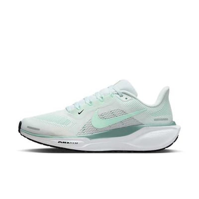 Nike Pegasus 41 FD2723-113