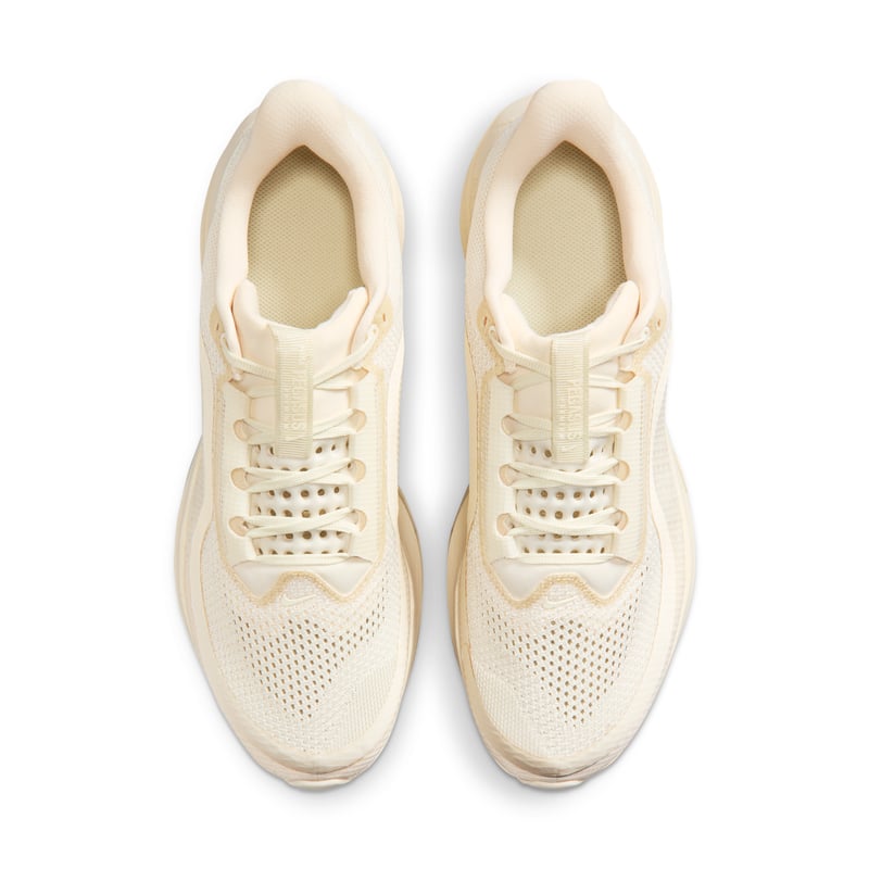 Nike Pegasus Premium IQ5691-100 04