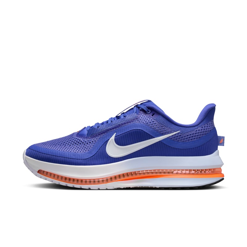 Nike Pegasus Premium HQ2592-400 01