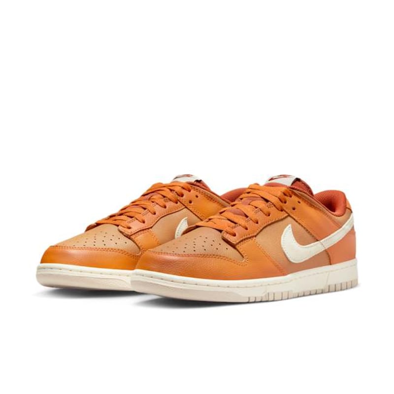 Nike Dunk Low Retro SE HJ9121-815 05