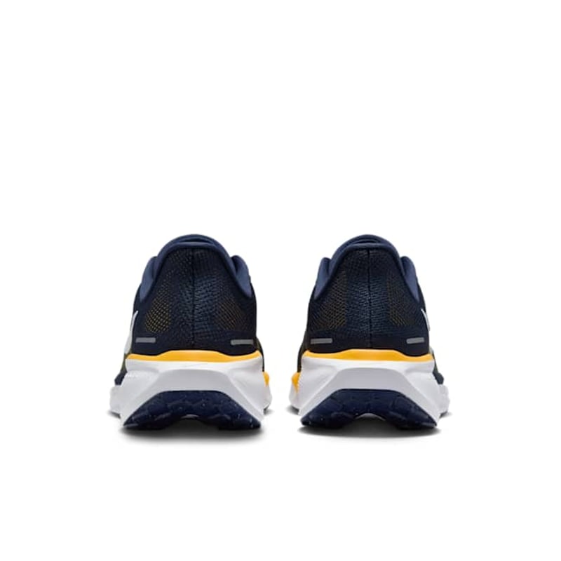 Nike Pegasus 41 FZ5153-400 06