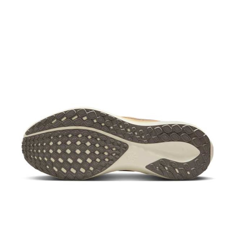Nike Pegasus 41 FD2723-800 02