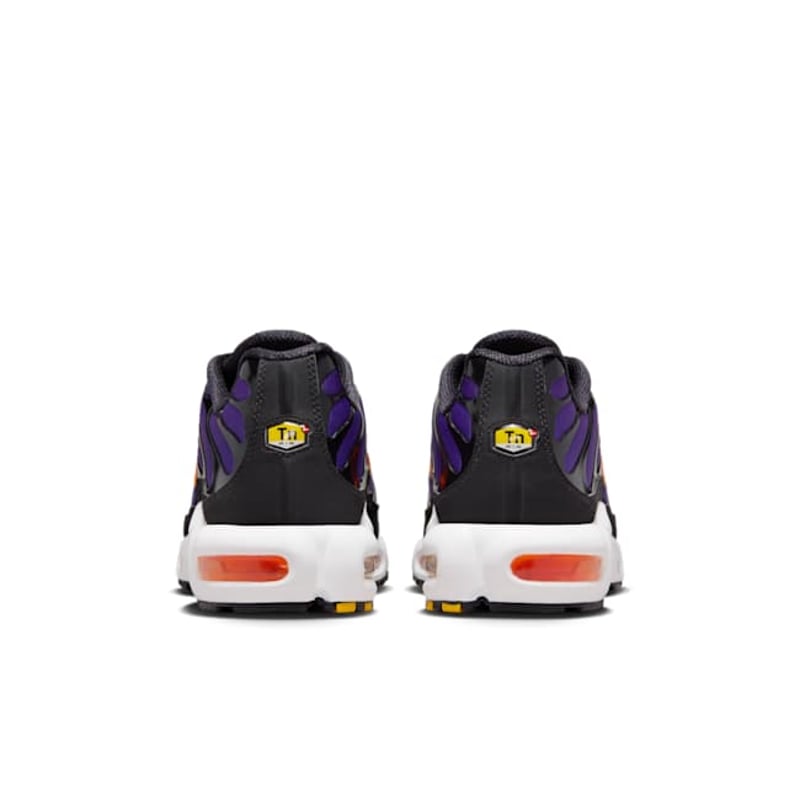 Nike Air Max Plus OG DX0755-500 06