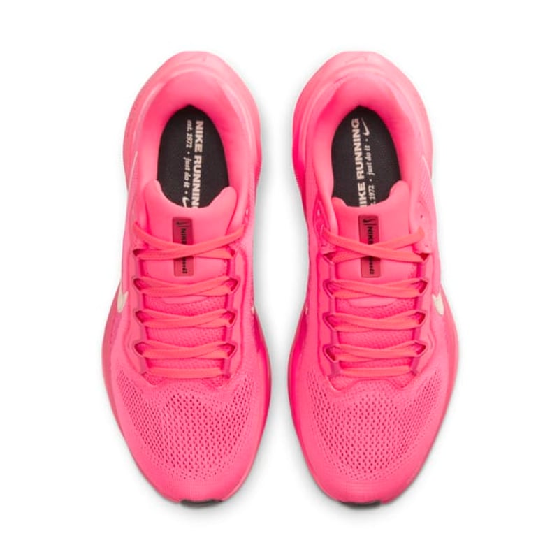 Nike Pegasus 41 FD2723-600 04