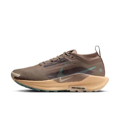 Nike Pegasus Trail 5 GORE-TEX FQ0912-200 01