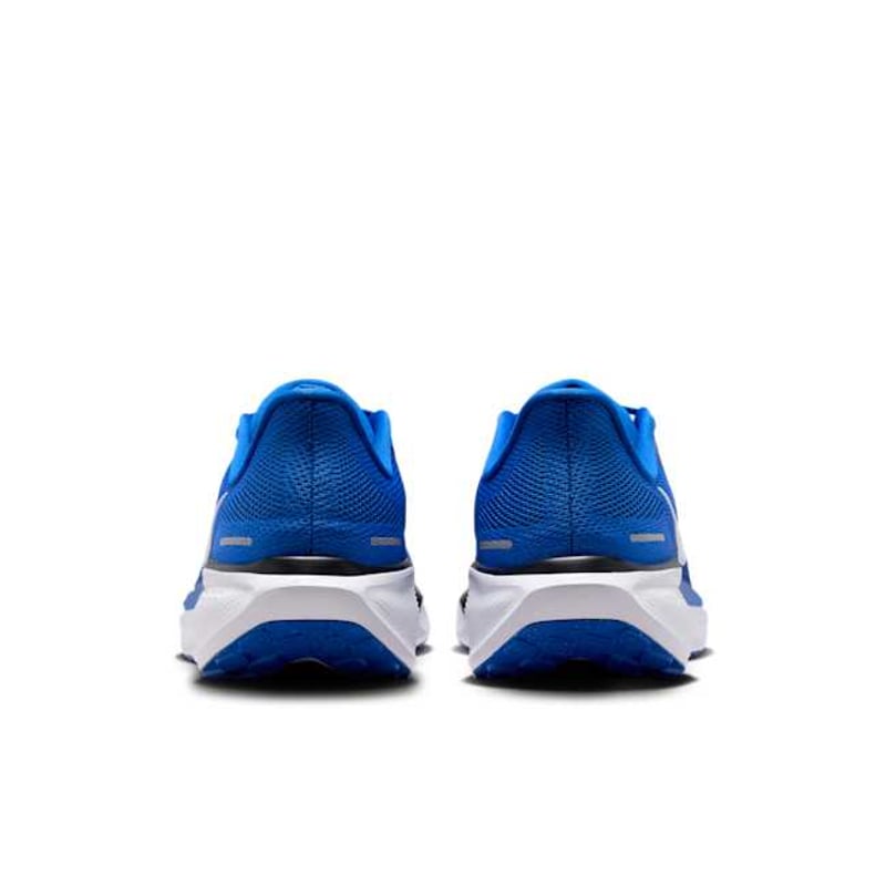 Nike Pegasus 41 FZ5111-400 06