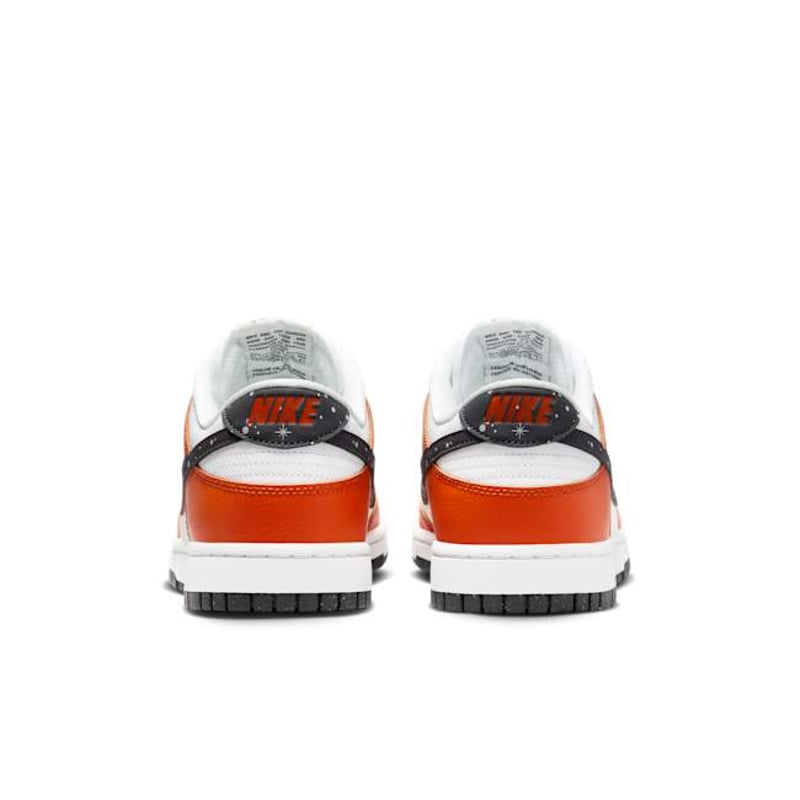 Nike Dunk Low FV6909-800 06