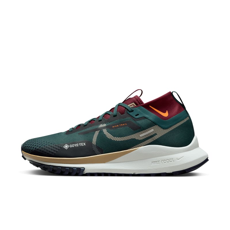 Nike Pegasus Trail 4 GORE-TEX DJ7926-302 01