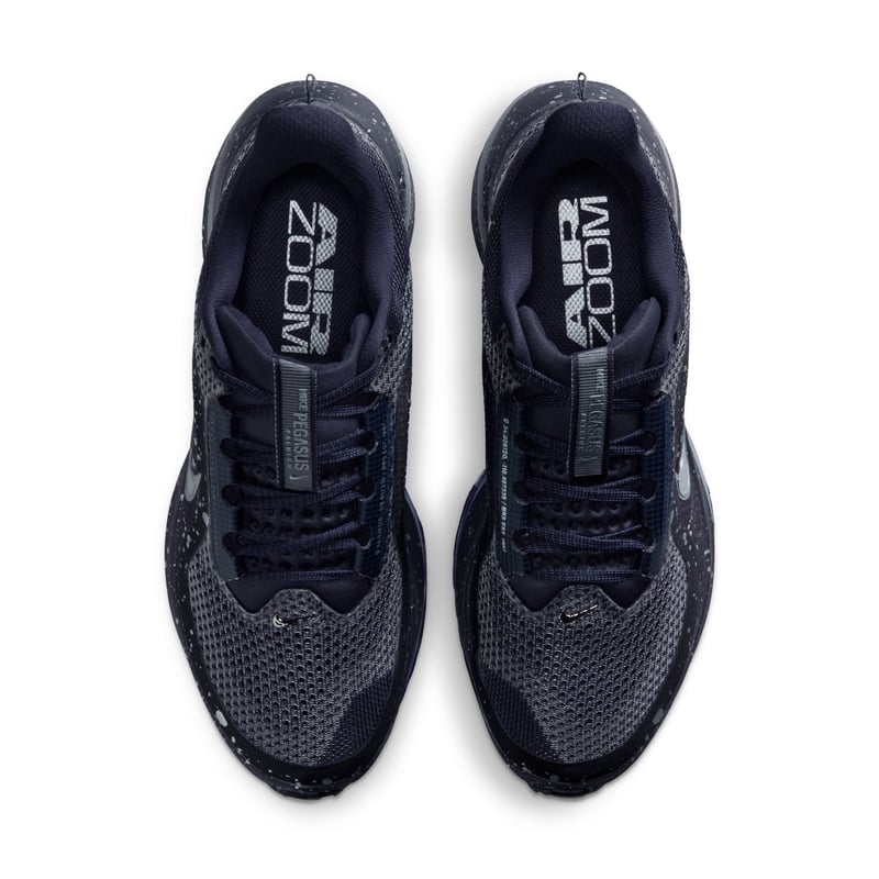 Nike Pegasus Premium SE IH0861-500 04