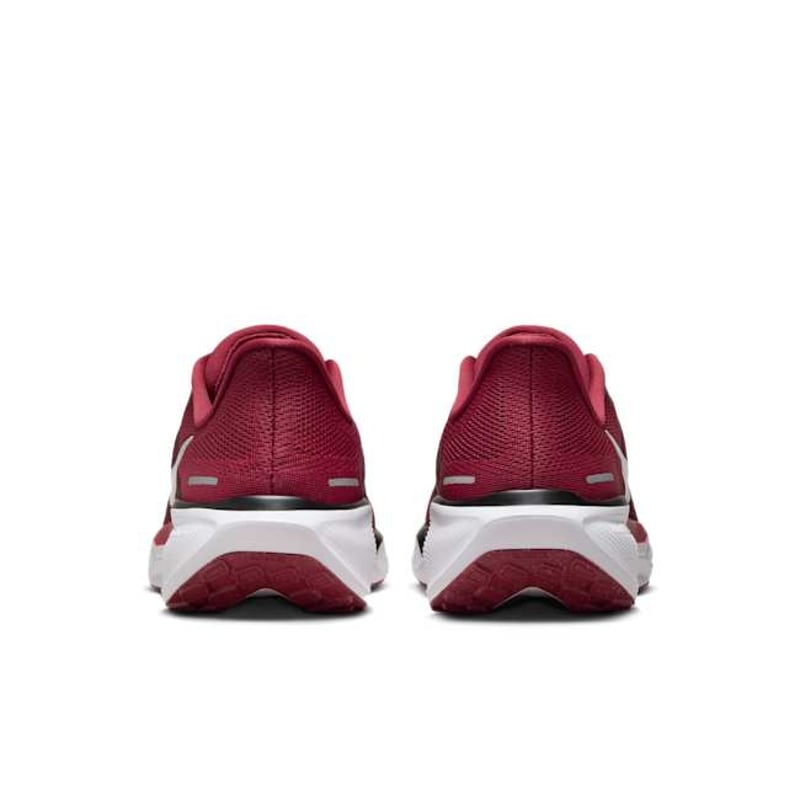 Nike Pegasus 41 FZ5130-600 06