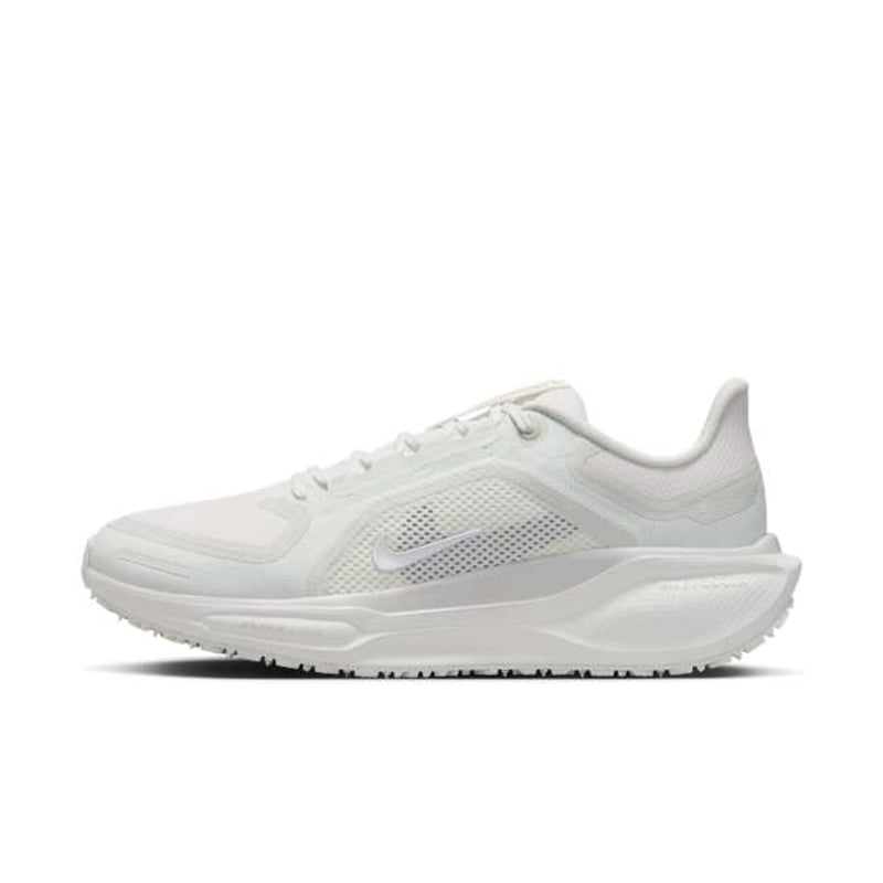 Nike Pegasus 41 GORE-TEX FQ1357-101 01