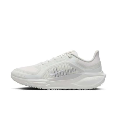 Nike Pegasus 41 GORE-TEX FQ1357-101