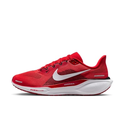 Nike Pegasus 41 FZ5115-600
