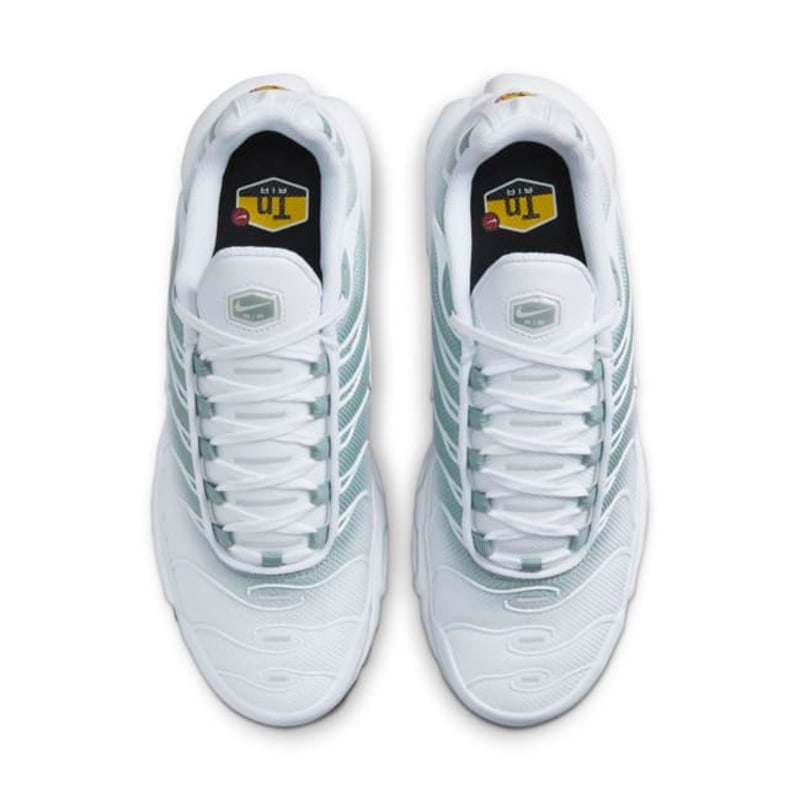 Nike Air Max Plus DZ3670-100 04