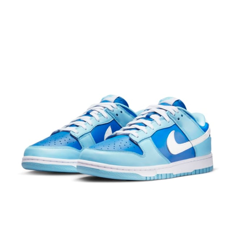 Nike Dunk Low Retro QS DM0121-400 05