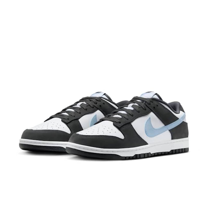 Nike Dunk Low IB3079-100 05