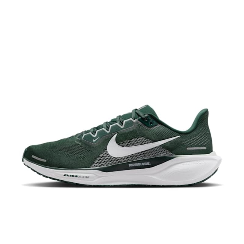 Nike Pegasus 41 FZ5127-300 01
