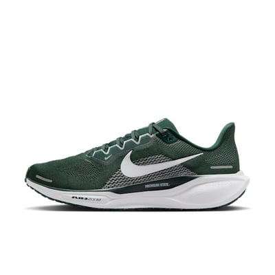 Nike Pegasus 41 FZ5127-300