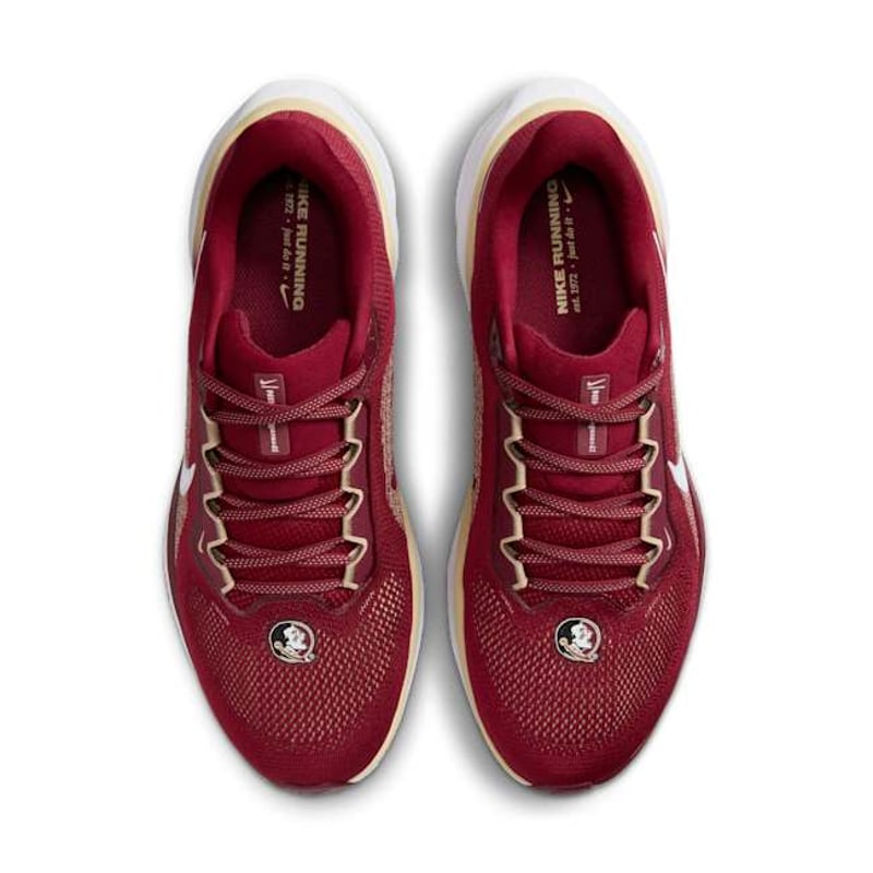 Nike Pegasus 41 FZ5114-600 04