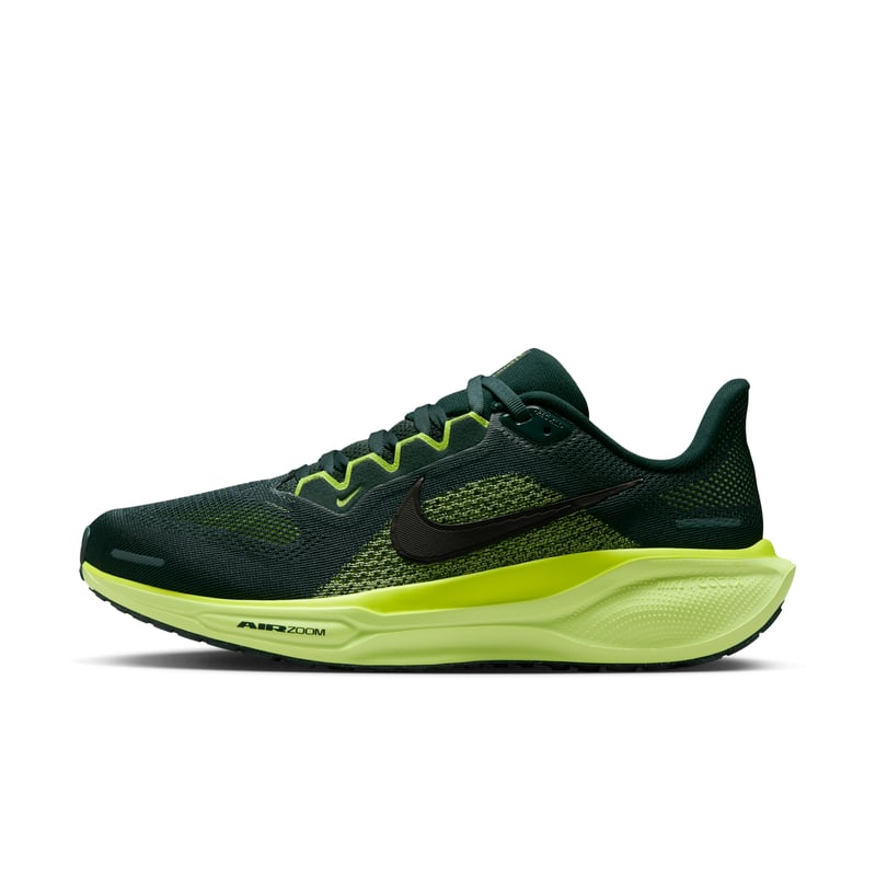 Nike Pegasus 41 FD2723-302 01