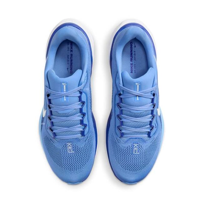 Nike Pegasus 41 FZ5141-400 04