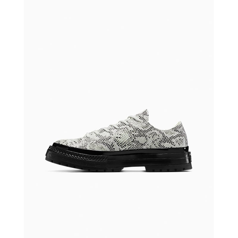 Converse Chuck 70 Low A15045C 03