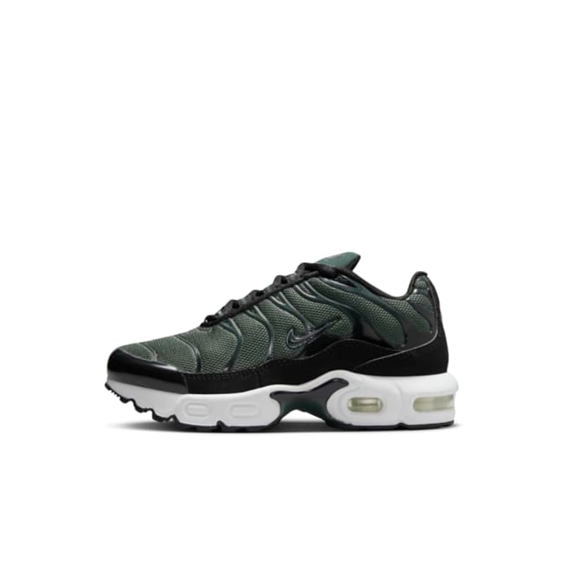 Nike Air Max Plus CD0610-302 01